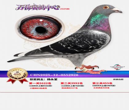 �����f(w��n)��Qِ455��