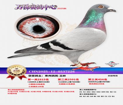 �����f(w��n)��Qِ456��