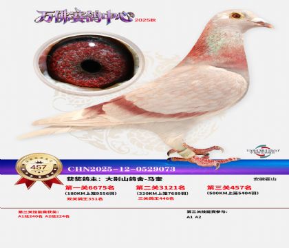 �����f(w��n)��Qِ457��