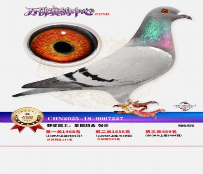 �����f(w��n)��Qِ459��