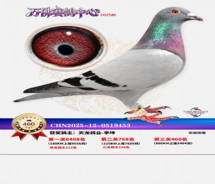 �����f(w��n)��Qِ460��