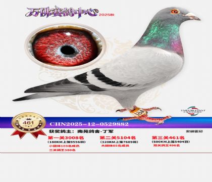 �����f(w��n)��Qِ461��