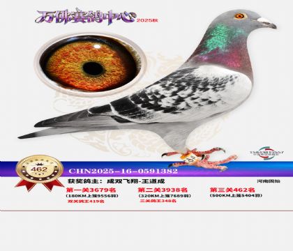 �����f(w��n)��Qِ462��