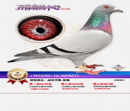 �����f(w��n)��Qِ463��