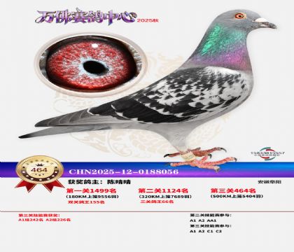 �����f(w��n)��Qِ464��