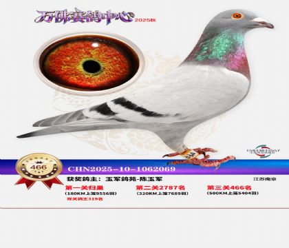 �����f(w��n)��Qِ466��