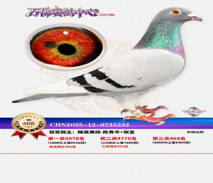 �����f(w��n)��Qِ468��