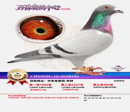 �����f(w��n)��Qِ469��