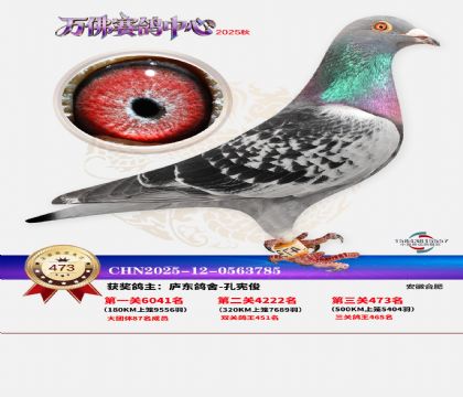 �����f(w��n)��Qِ473��