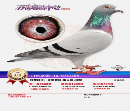 �����f(w��n)��Qِ474��