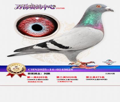 �����f(w��n)��Qِ475��