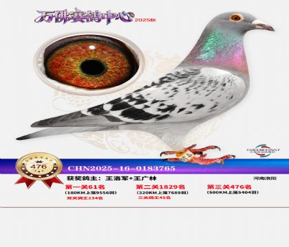 �����f(w��n)��Qِ476��