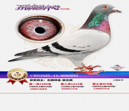 �����f(w��n)��Qِ478��