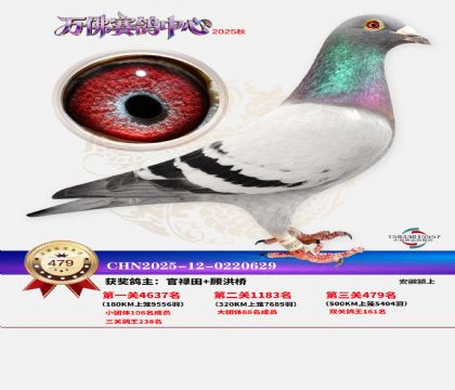 �����f(w��n)��Qِ479��