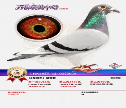 �����f(w��n)��Qِ480��