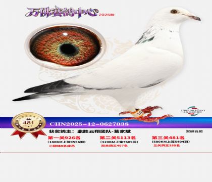 �����f(w��n)��Qِ481��