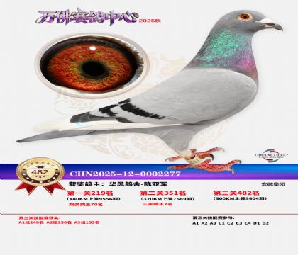 �����f(w��n)��Qِ482��