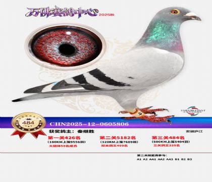 �����f(w��n)��Qِ484��