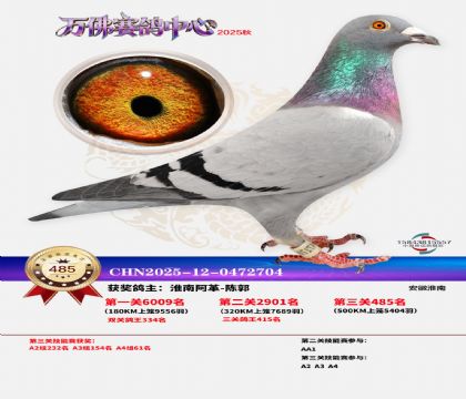 �����f(w��n)��Qِ485��