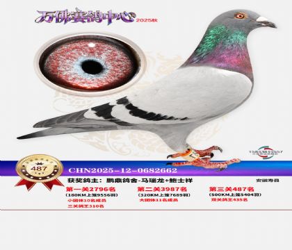 �����f(w��n)��Qِ487��