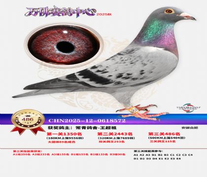 �����f(w��n)��Qِ486��