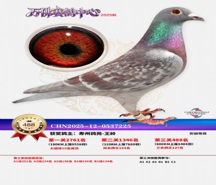 �����f(w��n)��Qِ488��