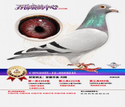 �����f(w��n)��Qِ489��