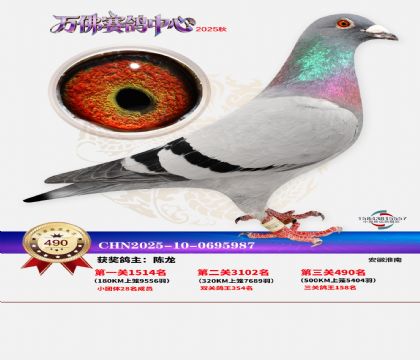 �����f(w��n)��Qِ490��