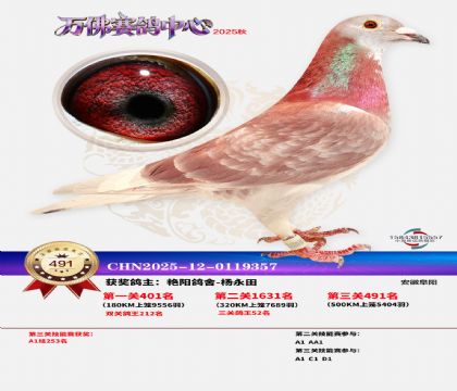 �����f(w��n)��Qِ491��