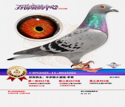 �����f(w��n)��Qِ493��