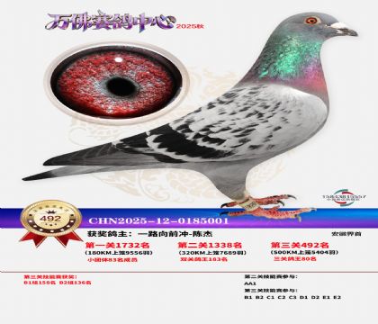 �����f(w��n)��Qِ492��