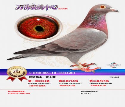 �����f(w��n)��Qِ494��