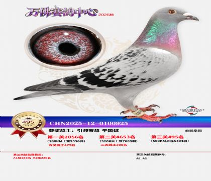 �����f(w��n)��Qِ495��