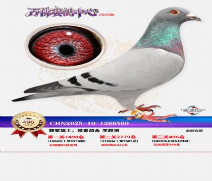 �����f(w��n)��Qِ496��