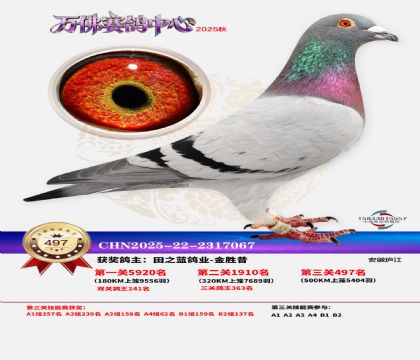 �����f(w��n)��Qِ497��