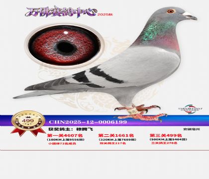 �����f(w��n)��Qِ499��