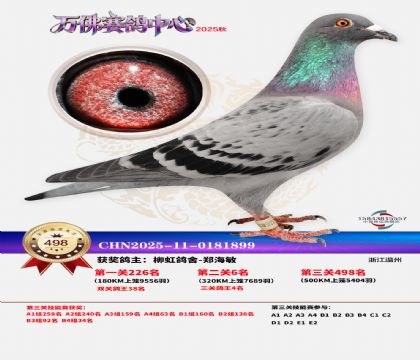 �����f(w��n)��Qِ498��