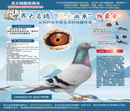 ���ؠ�ֱ�O24-0267789��