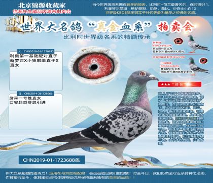 ���W��һ���A(ch��)�䌦ֱ��Xղɭ19-1723688��