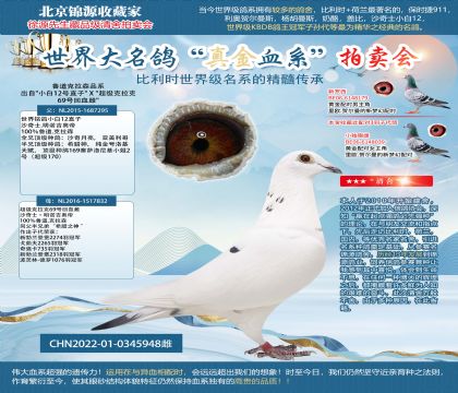 С��12ֱ̖�ӡ� X ������������69̖��Ѫ�ơ�