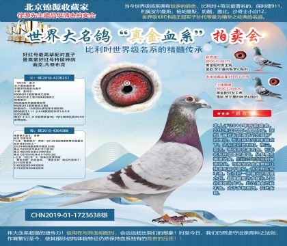 �ütֱ̖�O19-1723638��