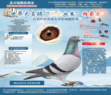 ������.�ֲ���ԭ�ᡰ�����_������ͬ݅��