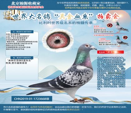 ���W19-1723668��