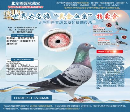 ���W������19-1723666��