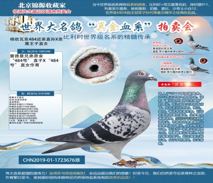 ��W�߿�484���Hֱ�OX��ħ����ֱŮ19-1723676��