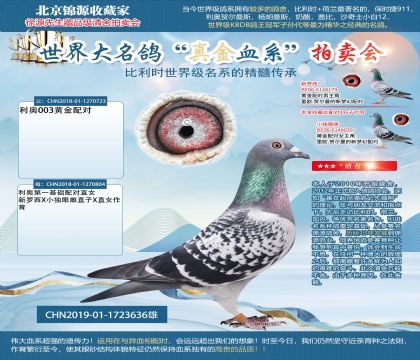 ���W19-1723636��