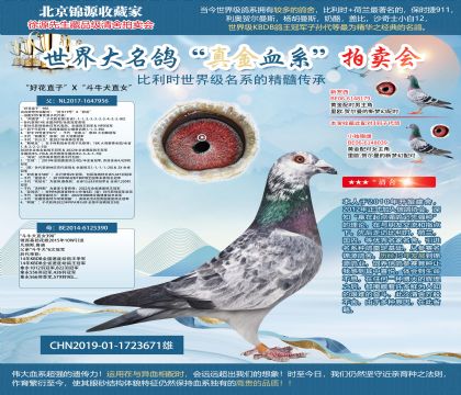 ���û�ֱ�ӡ�X����ţȮֱŮ��19-1723671��