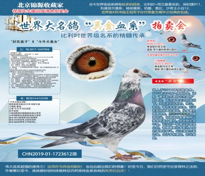 ���û�ֱ�ӡ�X����ţȮֱŮ��19-1723612��