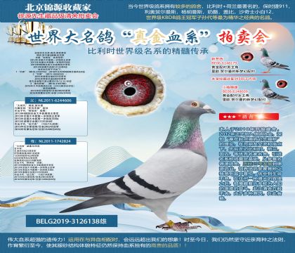 ·��.����ԭ��-���~��ȫ�ֵ�