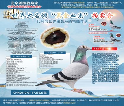 ���ؠ�ֱ��X�W��ƥ���_����ȫ����19-1723623��